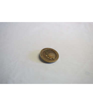 Médaille d'or Mini Squash Ecole de Squash Française