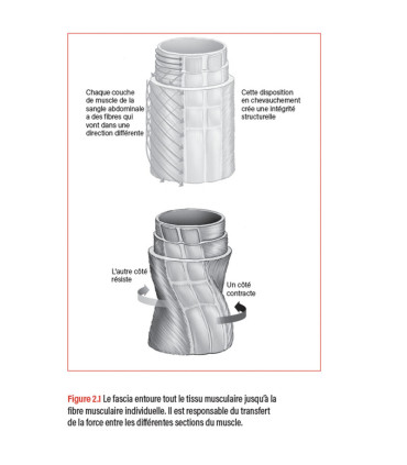 WORKOUT - Pour un entraînement plus intelligent - 4TRAINER EDITIONS