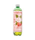 LOT 12 - ICE TEA PEACH - VITAMIN WATER