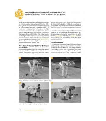 Programmation de l'Entraînement