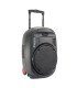ENCEINTE SONO PORTABLE AUTONOME 15” - USB-MP3, BLUETOOTH AVEC 2 MICROS UHF - LOTRONIC