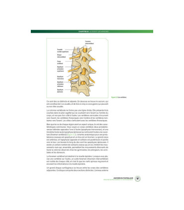 Anatomie du Footballeur - 4TRAINER Editions