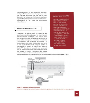 Hypertrophie - 4TRAINER Editions