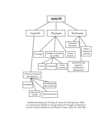 L'agilité dans les sports collectifs - 4TRAINER Editions