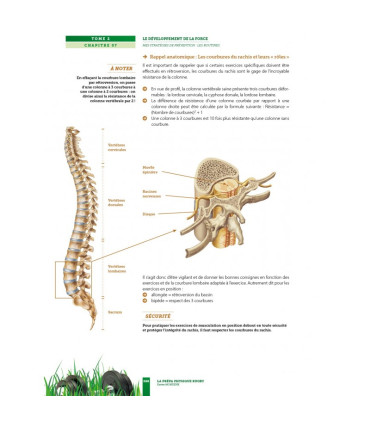La prépa physique Rugby - Le développement de la Force