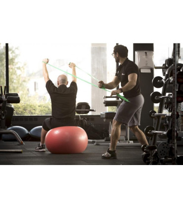 La proprioception Le développement des qualités neuromusculaires au service de l'équilibre - 4TRAINER Editions